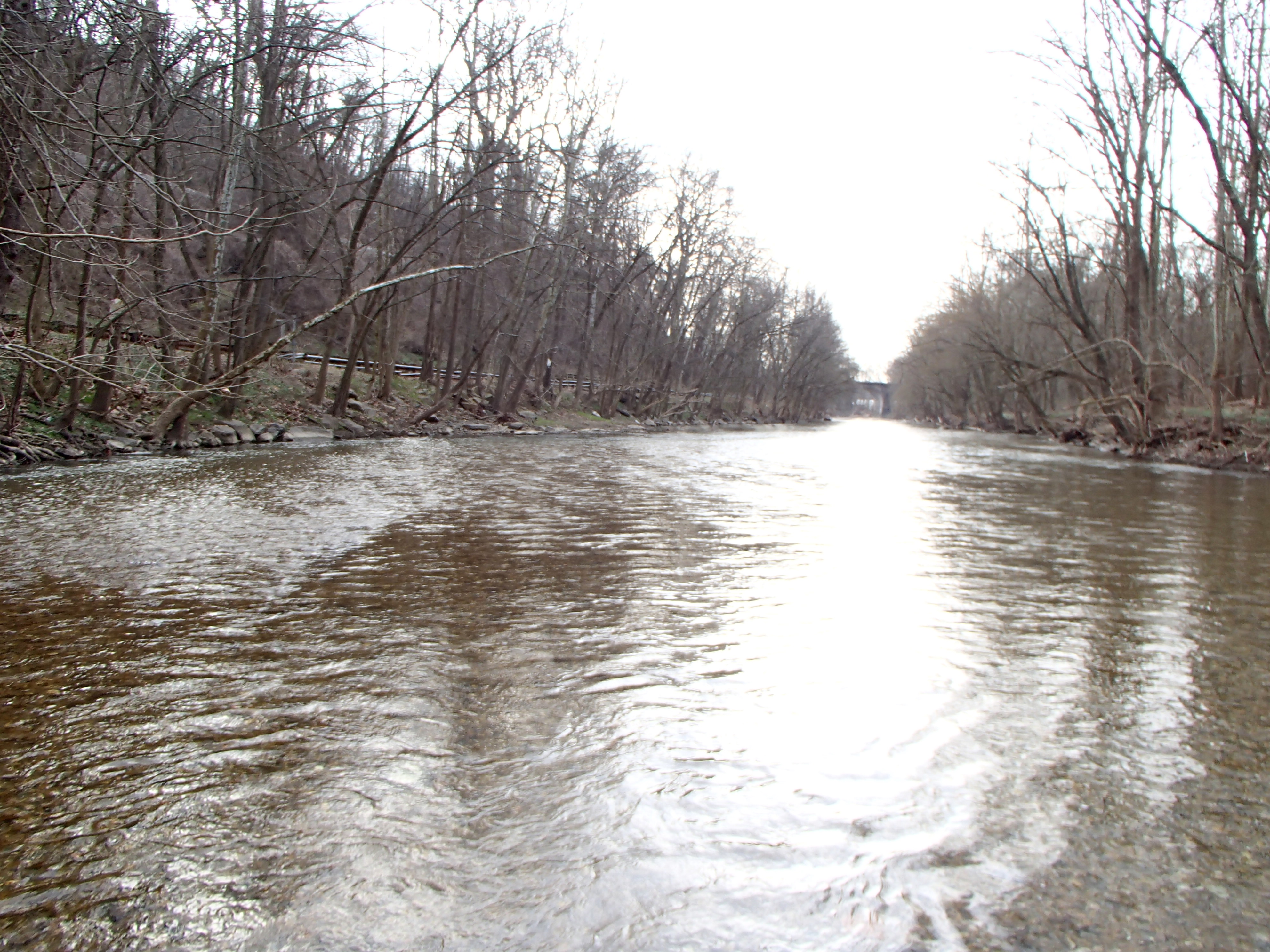 Field photo showing stream conditions at site PATL-B03-X-2016_midpoint looking dowstream
